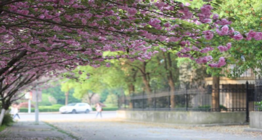 逻科斯考研：欢迎学子报考南京中医药大学研究生！