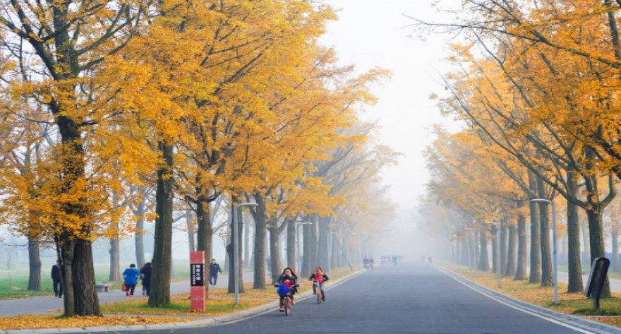 逻科斯考研：欢迎学子报考电子科技大学研究生！