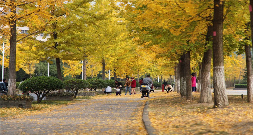 逻科斯考研：欢迎学子报考浙江农林大学研究生！