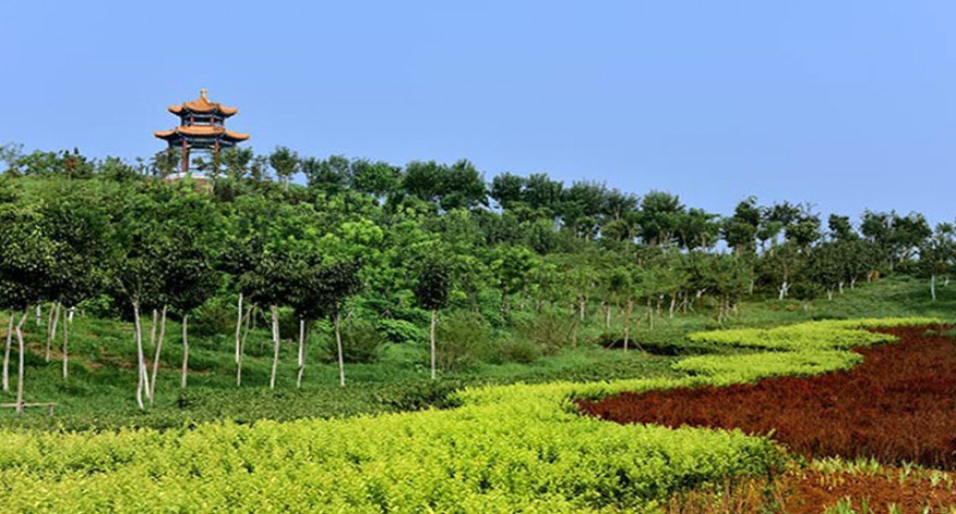 逻科斯考研：欢迎学子报考天津中医药大学研究生！