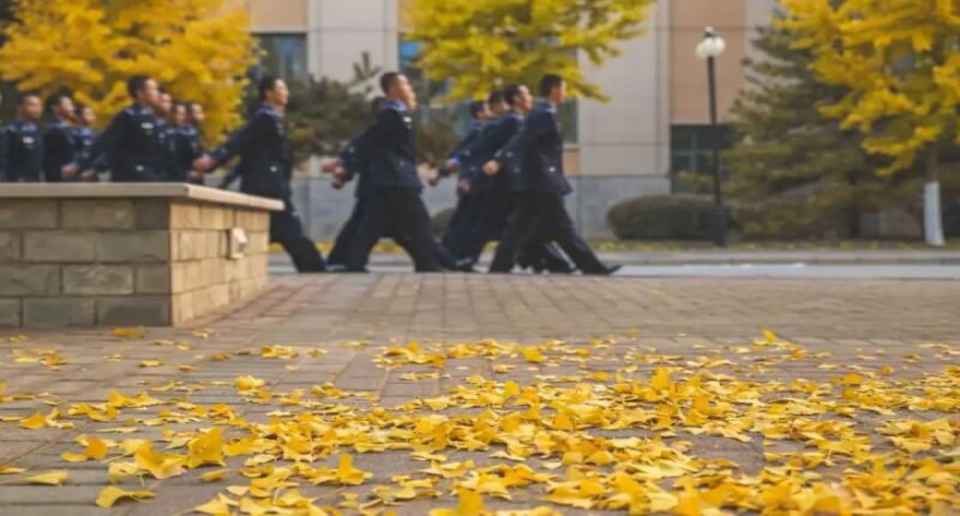 逻科斯考研：欢迎学子报考中国人民公安大学研究生！