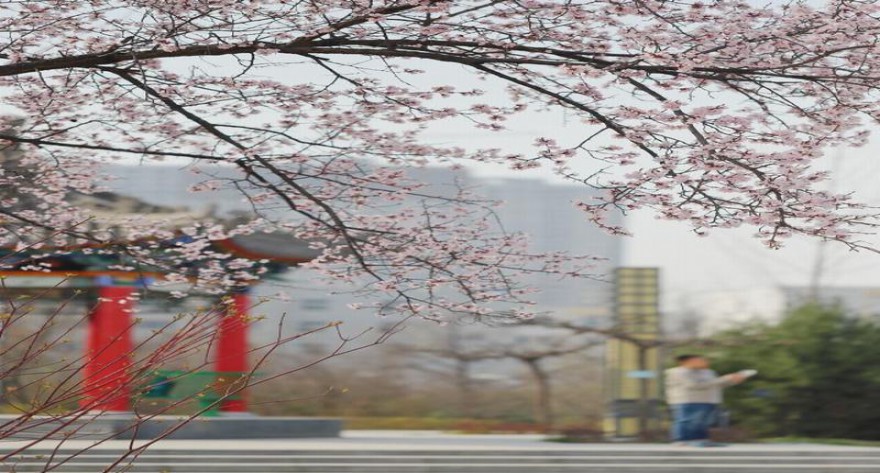 逻科斯考研：欢迎学子报考西安工业大学研究生！