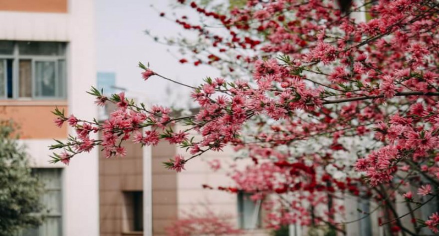 逻科斯考研：欢迎学子报考山东政法学院研究生！