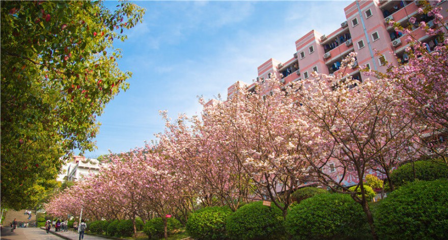 逻科斯考研：欢迎学子报考重庆邮电大学研究生！