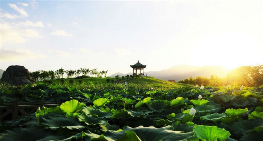 逻科斯考研：欢迎学子报考福建中医药大学研究生！